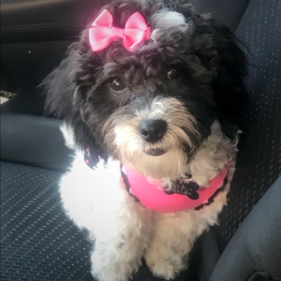 Meet your Posher, Christina - Picture 1 of 1